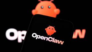 OpenClaw — Attack & Defense Operations